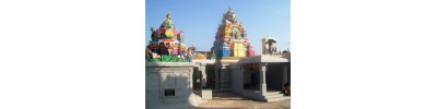 நார்த்தாம்பூண்டி